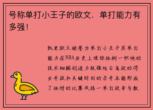 号称单打小王子的欧文．单打能力有多强！